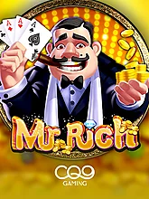 Mr Rich